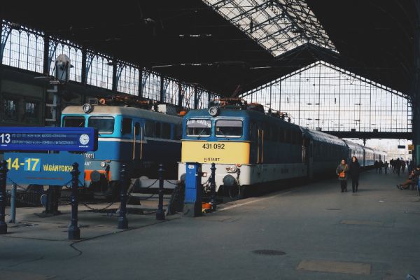 Trains waiting at the platforms of a large railway station
